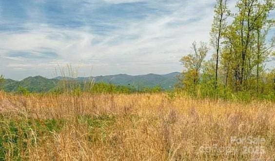 Listing photo 3 for LOT25 Andrew Banks Rd, Burnsville NC 28714