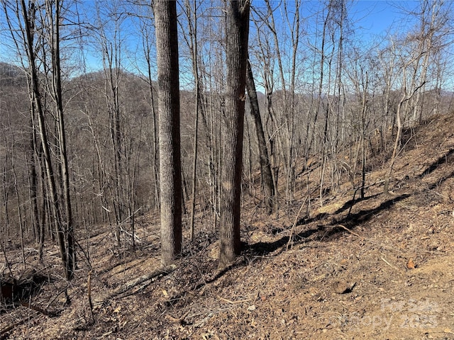 Listing photo 2 for LOT25 Andrew Banks Rd, Burnsville NC 28714