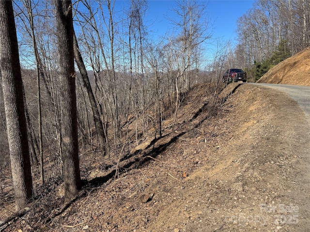 Listing photo 3 for LOT25 Andrew Banks Rd, Burnsville NC 28714