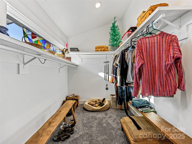 spacious closet with carpet and lofted ceiling