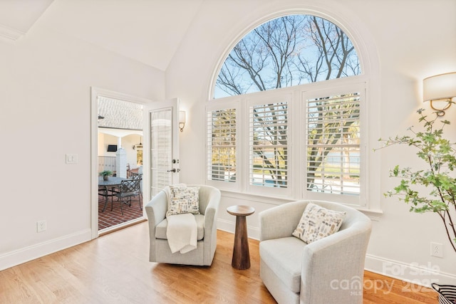 living area featuring high vaulted ceiling and light hardwood / wood-style flooring