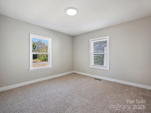 spare room featuring carpet flooring and plenty of natural light