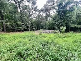 219 Maple St, Fort Mill SC, 29715 land for sale