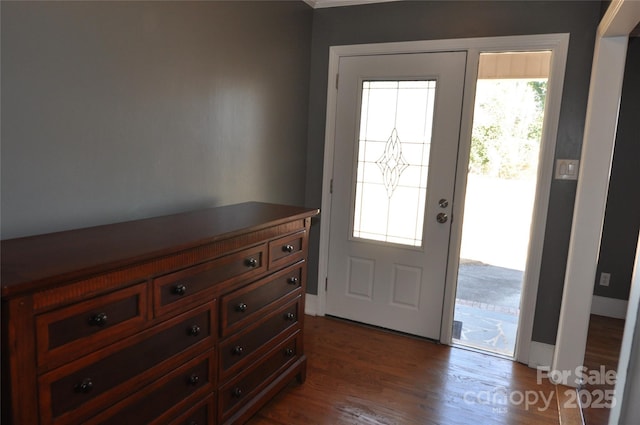 entryway featuring wood-type flooring