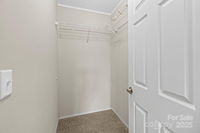 spacious closet with carpet flooring