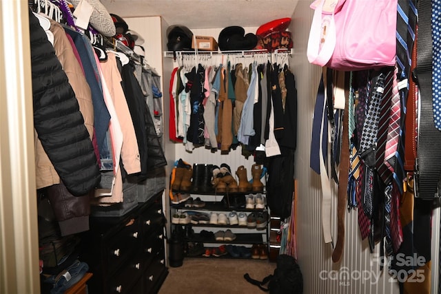 spacious closet featuring carpet flooring