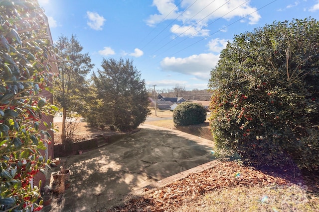 view of yard with a patio area