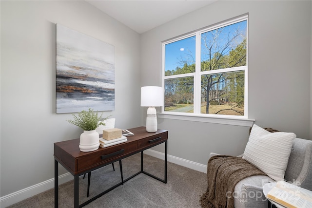 view of carpeted home office