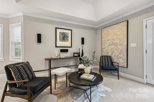 sitting room with ornamental molding and carpet floors