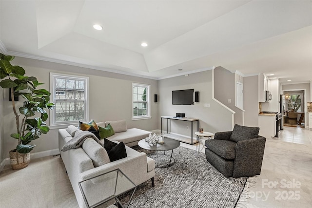 living room with crown molding and a raised ceiling