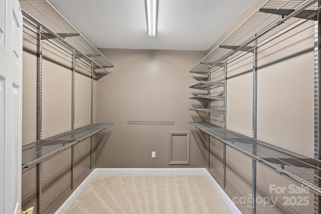 spacious closet with light colored carpet