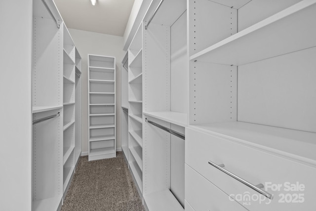 walk in closet with dark colored carpet