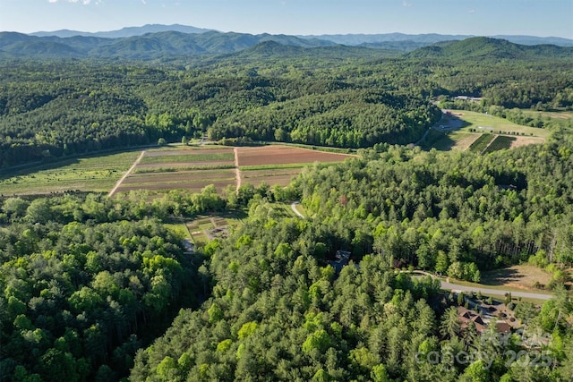 birds eye view of property with a mountain view