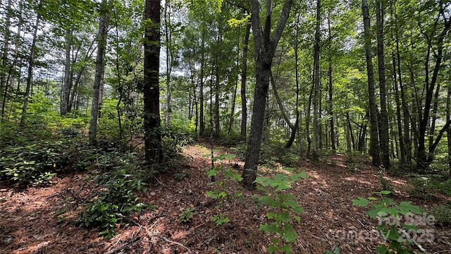 7 Walnut Ridge Dr Unit 7, Lenoir, NC 28645 - photo 1
