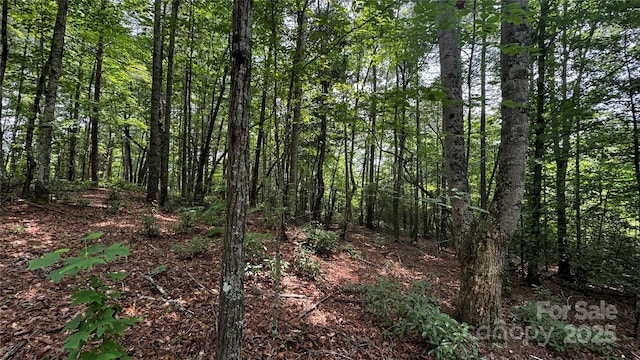 7 Walnut Ridge Dr Unit 7, Lenoir, NC 28645 - photo 2