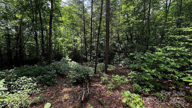 7 Walnut Ridge Dr Unit 7, Lenoir, NC 28645 - photo 3