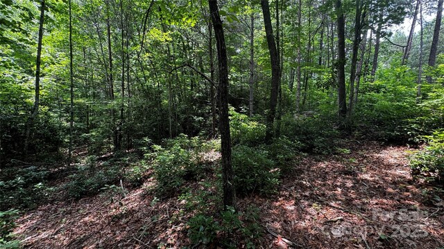 7 Walnut Ridge Dr Unit 7, Lenoir, NC 28645 - photo 9