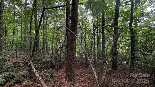 7 Walnut Ridge Dr Unit 7, Lenoir, NC 28645 - photo 10