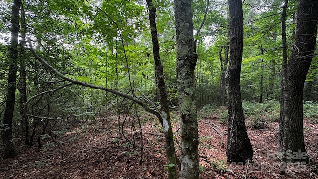 7 Walnut Ridge Dr Unit 7, Lenoir, NC 28645 - photo 14