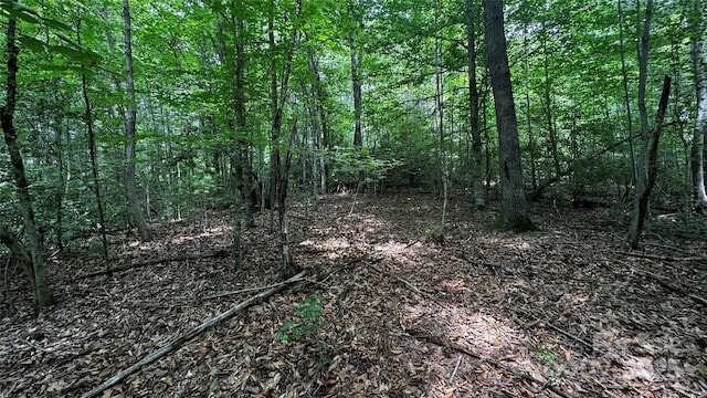 7 Walnut Ridge Dr Unit 7, Lenoir, NC 28645 - photo 20