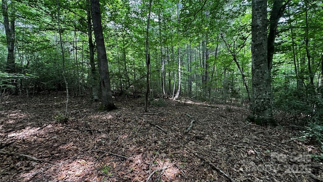 7 Walnut Ridge Dr Unit 7, Lenoir, NC 28645 - photo 21