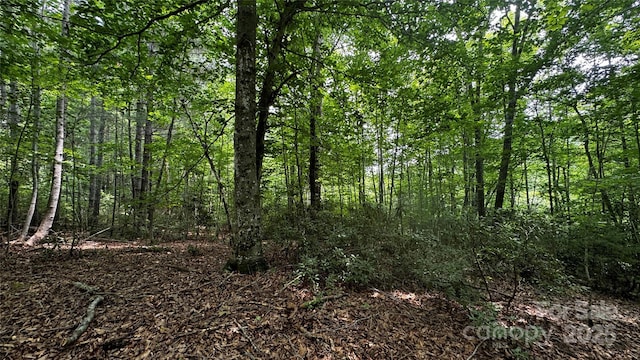 7 Walnut Ridge Dr Unit 7, Lenoir, NC 28645 - photo 22