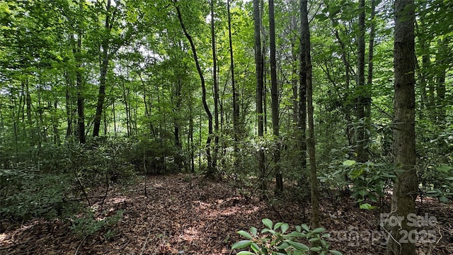 7 Walnut Ridge Dr Unit 7, Lenoir, NC 28645 - photo 23