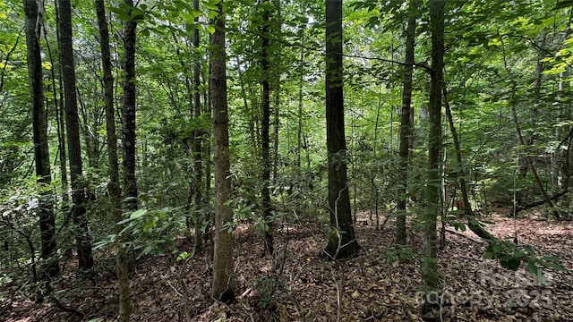7 Walnut Ridge Dr Unit 7, Lenoir, NC 28645 - photo 24