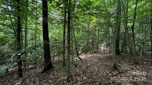 7 Walnut Ridge Dr Unit 7, Lenoir, NC 28645 - photo 25