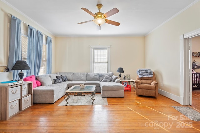 living room featuring light hardwood / wood-style floors, ceiling fan, and crown molding