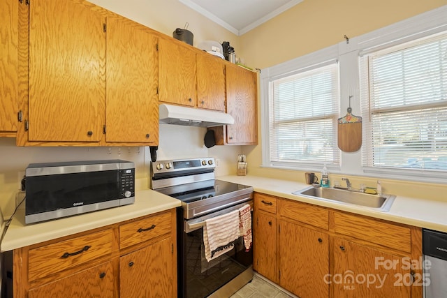 kitchen with a healthy amount of sunlight, crown molding, sink, and appliances with stainless steel finishes