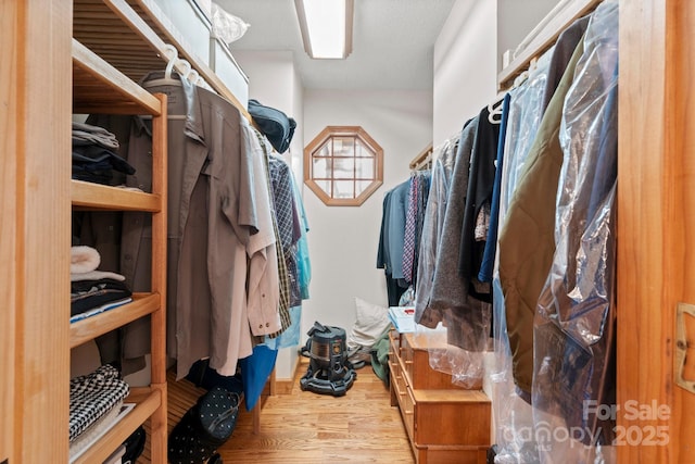 spacious closet featuring wood finished floors