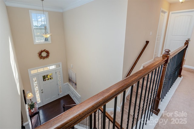 carpeted entrance foyer with ornamental molding