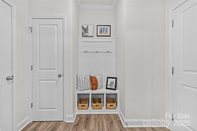 mudroom with wood-type flooring and ornamental molding