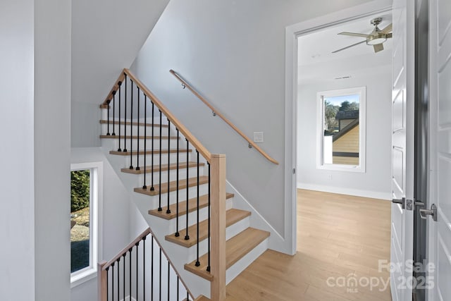 staircase featuring hardwood / wood-style floors