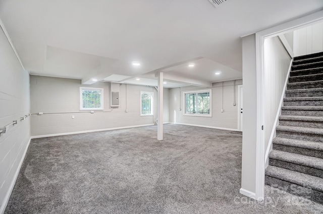 basement with carpet flooring, electric panel, and a wealth of natural light