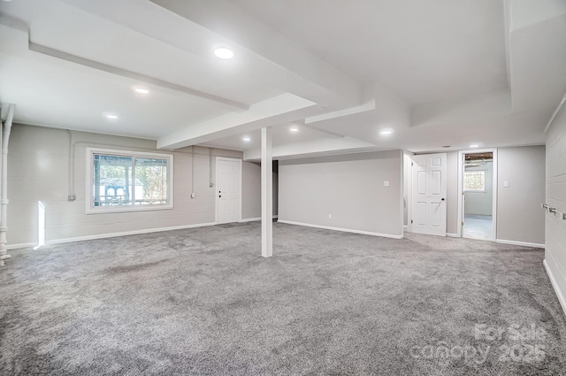 basement with carpet