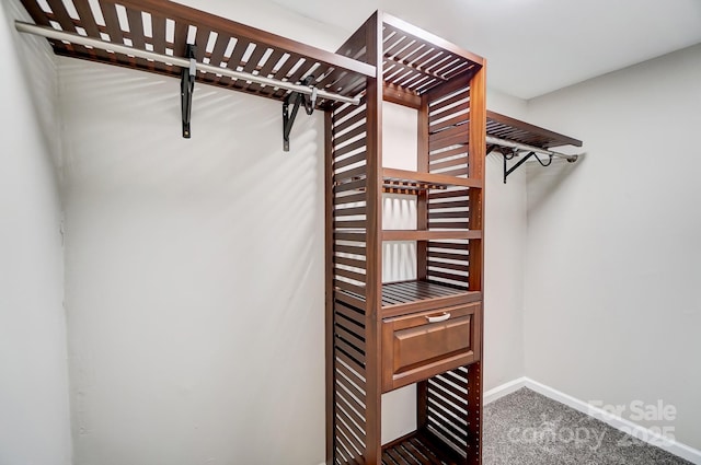 walk in closet featuring carpet flooring