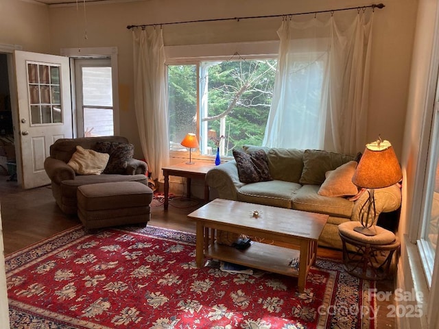 living room featuring hardwood / wood-style flooring