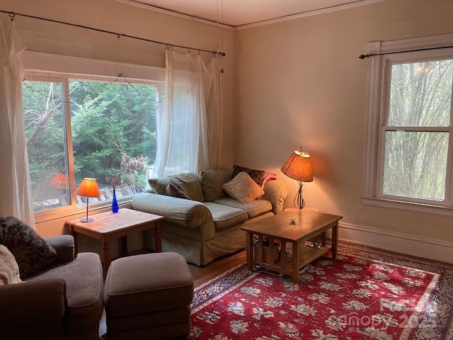 living room with hardwood / wood-style flooring, plenty of natural light, and ornamental molding