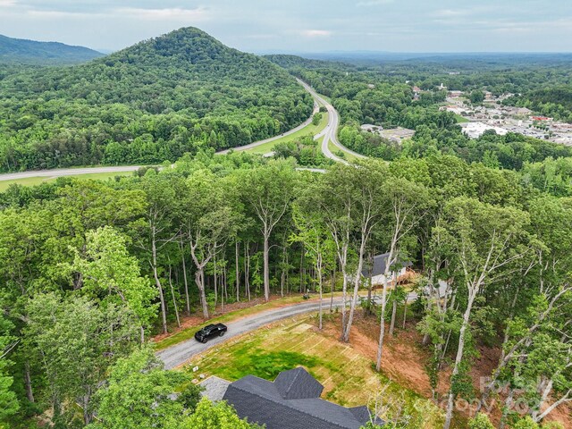 474 Hague Dr, Columbus, NC 28722 - drone / aerial view of a heavily wooded area