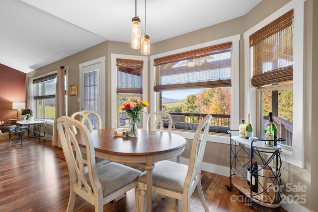 dining room featuring vaulted ceiling and dark wood-type flooring