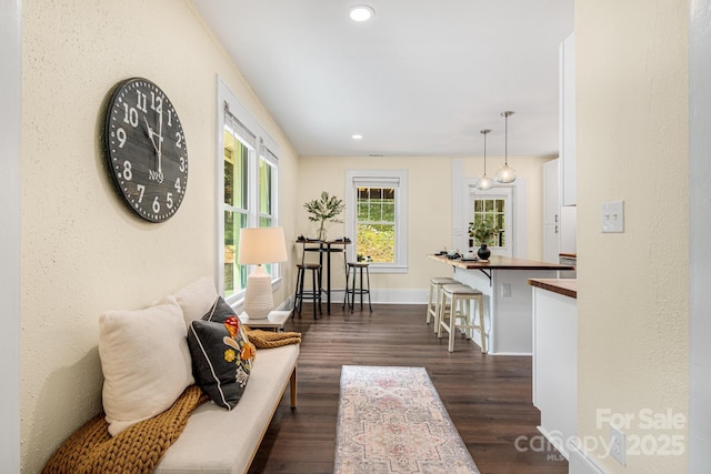 interior space featuring dark hardwood / wood-style flooring