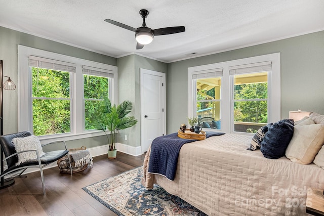 bedroom featuring multiple windows, dark hardwood / wood-style flooring, ceiling fan, and ornamental molding