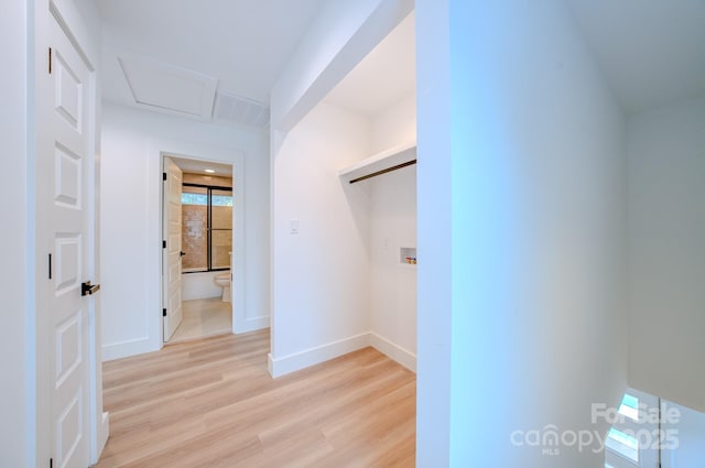 walk in closet with light wood-type flooring