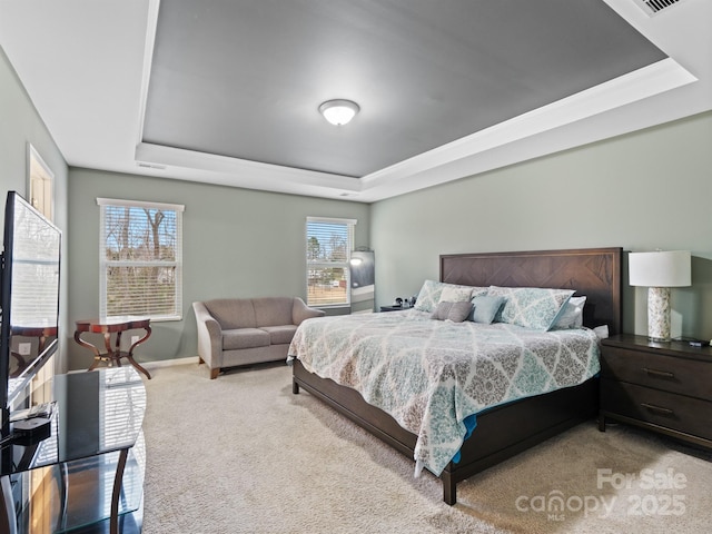 bedroom featuring carpet flooring and a raised ceiling