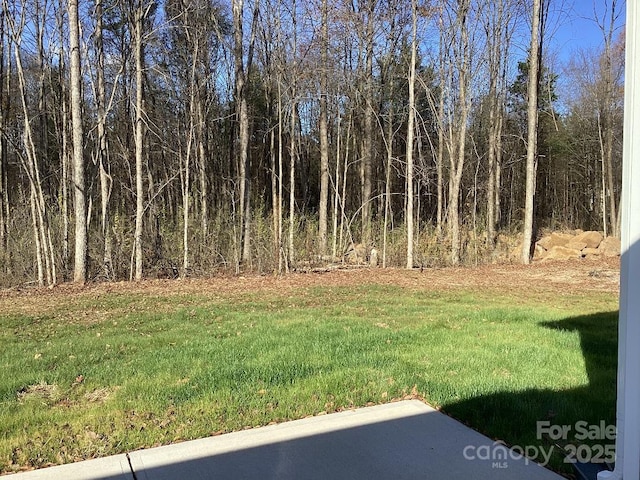 view of yard with a patio area