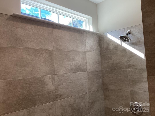 interior details featuring a tile shower