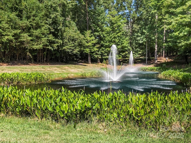 3001 Lake Pointe Dr, Belmont, NC 28012 - photo 6
