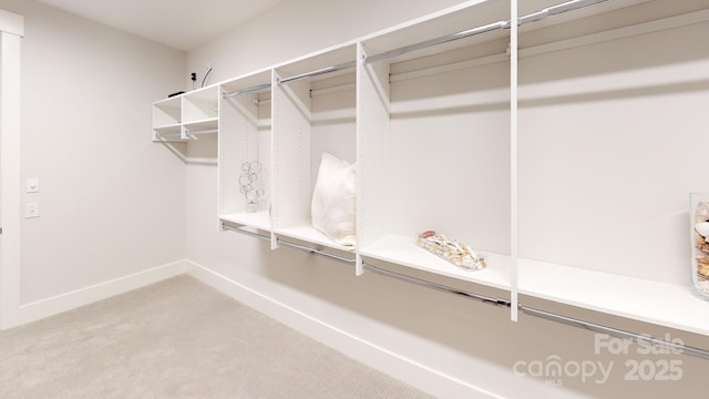 walk in closet featuring carpet